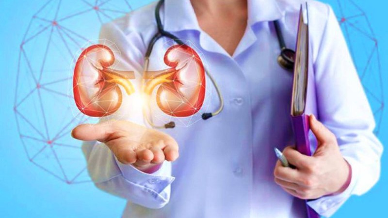 Әйел үйлену тойынан кейін күйеуінің бұрынғы жарына бүйрегін берді