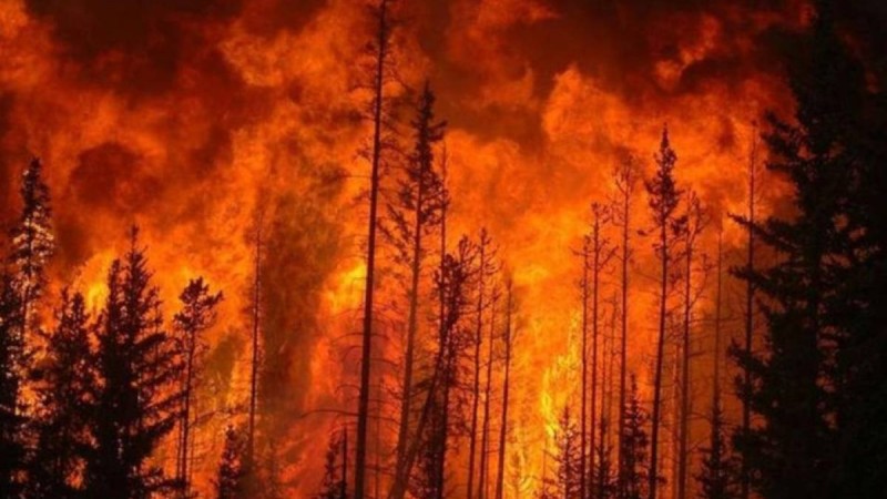 Абай облысындағы өртте 3 адам қаза тапты, 11 адам жоғалып кетті