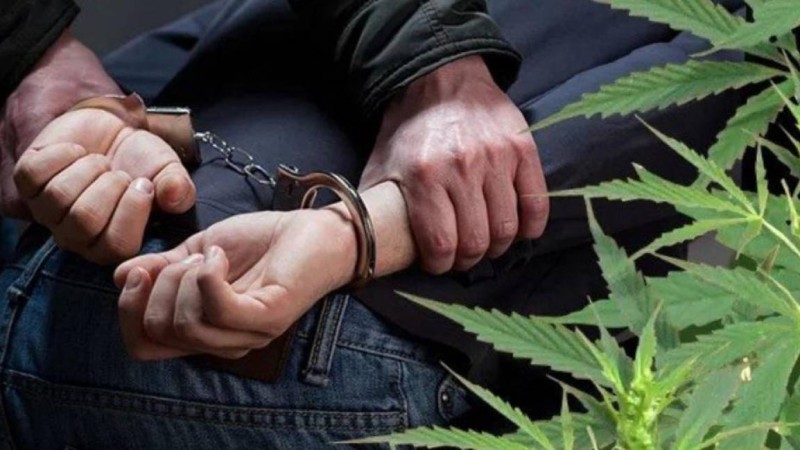 Мәжіліс депутаттары есірткі тұтынатындардың жазасын жеңілдетуді ұсынды