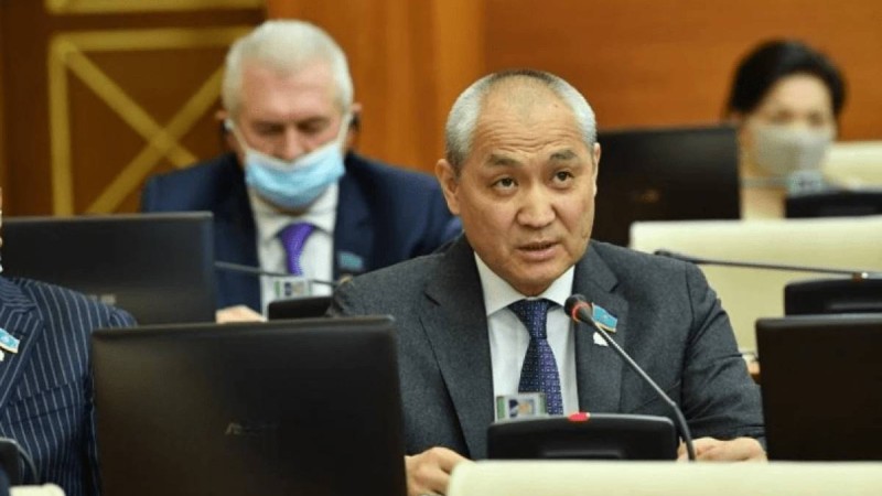 Әкімдер айналасына блогерлерді жинап алып, депутаттарға шабуыл жасайды – Еділ Жаңбыршин