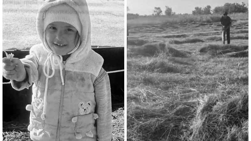 Алматы облысында жоғалып кеткен үш жасар Айя-Софияның өліміне күдіктілердің кім екені белгілі болды