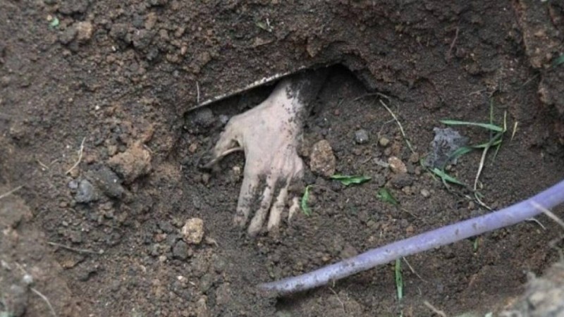 Бұрынғы мектептің ауласынан 215 баланың мәйіті табылды