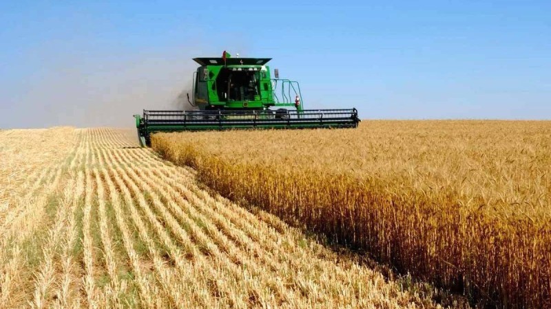 Қазақстандықтар ауыл шаруашылық жерлерін 49 жылға жалға ала алады