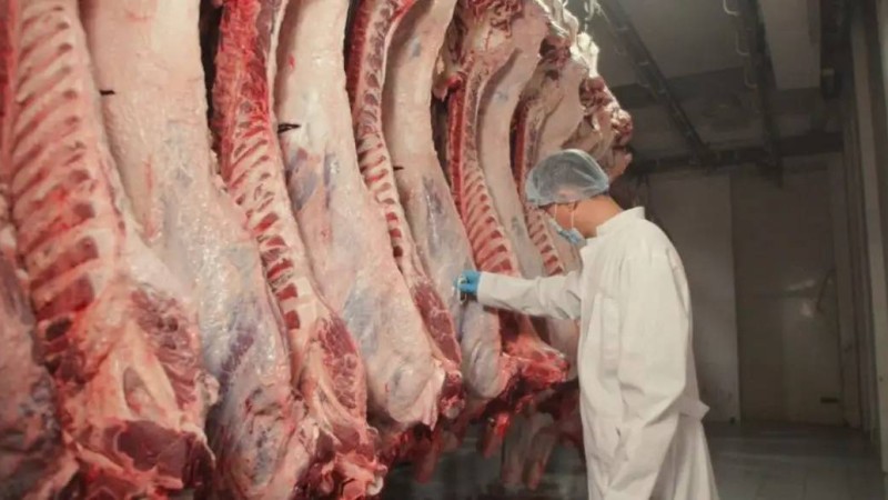 Түркістан облысы ет экспорты бойынша Қазақстанда көшбасшы