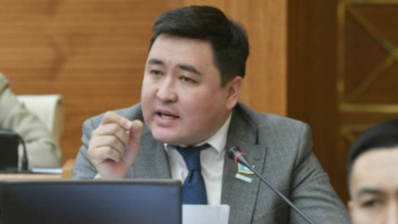 Командир әскерге жаңадан келген сарбазды орындықпен ұрған – Мәжіліс депутаты