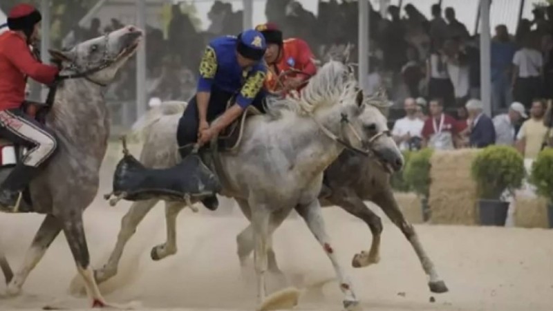 “ҰҚК қызметкерлері күш көрсетті” - қырғыз көкпаршылары наразылық білдірді