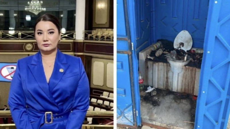 “Түркістанның әкімі Тұрашбеков туалетіңді тазала!” - Айгүл Орынбек