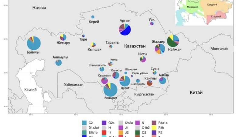 "Қандағы ерекшелік тек наймандарда кездеседі": Ғалымдар жүздеген қазақтың ДНҚ-сын зерттеп, наймандар туралы күтпеген мәлімдеме жасады