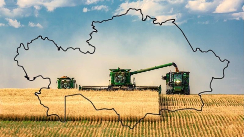 Жиын-терін: қанша астық жиналды, қаншасын тұтынамыз?