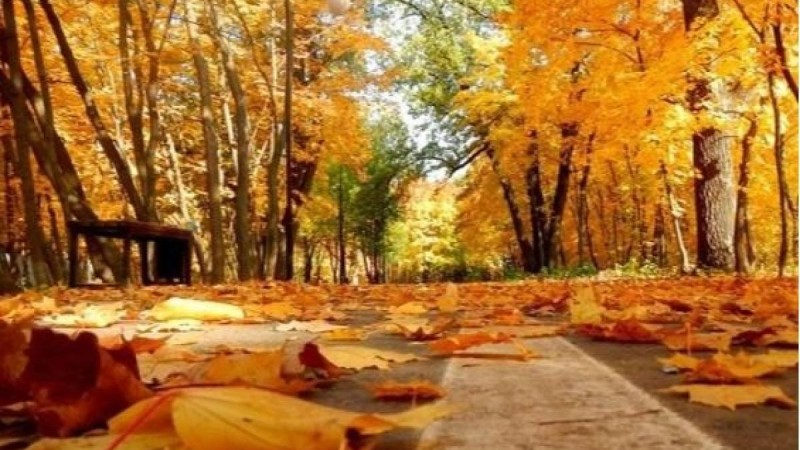 Қазақстанда күз қашанға дейін жылы болып тұрады?