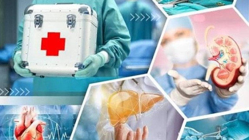 Алматыда дәрігерлер марқұм әйелдің бес ағзасын алты адамға салды