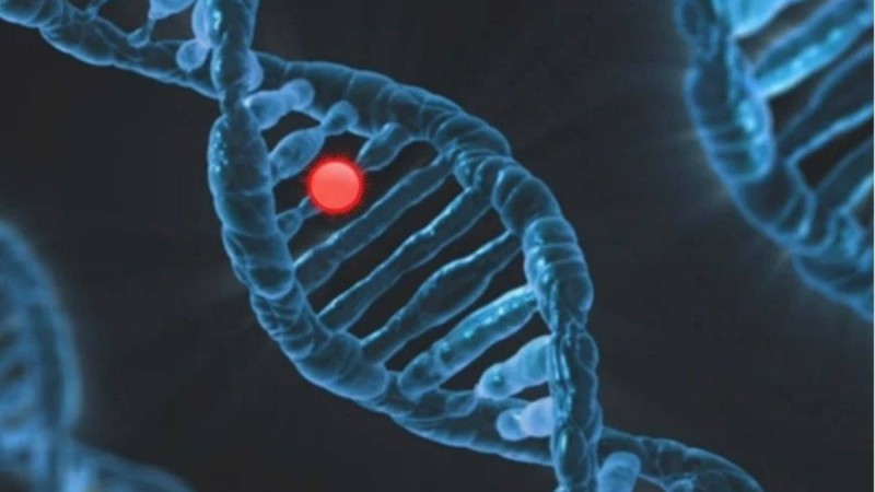 “Туыстық некеден” - Өзбекстанда балалардан ондаған жаңа гендік мутация анықталды