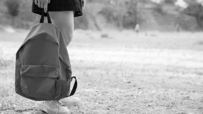 Алматы облысында 12 жастағы оқушыны зорлады деген күдікпен 17 жастағы жігіт ұсталды