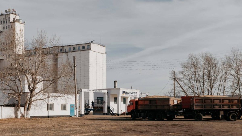 Harvest қиырдағы ұмыт қалған Ащыкөл ауылына қайта жан бітірді