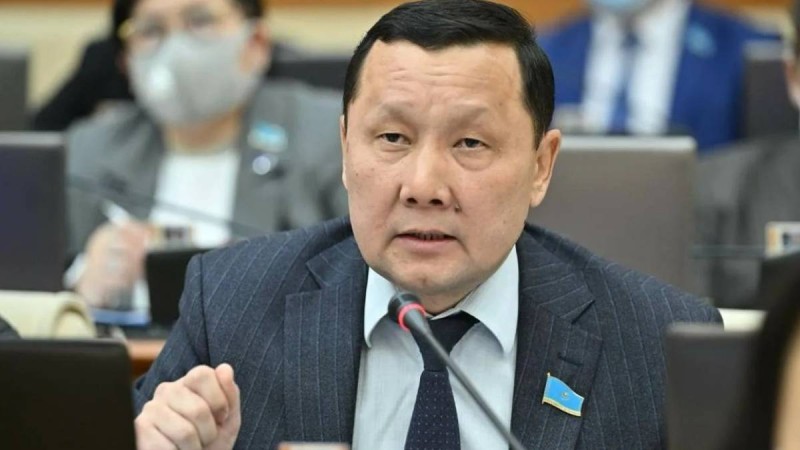 "Тоқалдықты заңдастыру қажет". Депутаттың пікірі желіде тарады