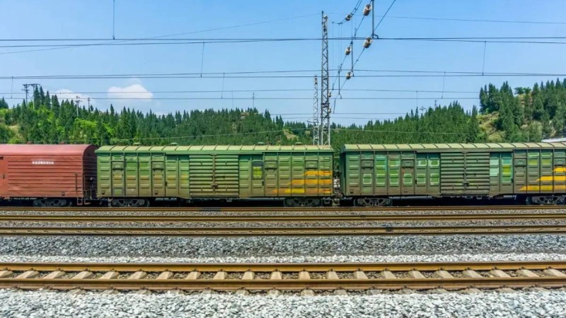 Астанадан Аршалыға жеткен: жүк пойызымен «серуендеп жүрген» 8-11 жастағы үш бала ұсталды