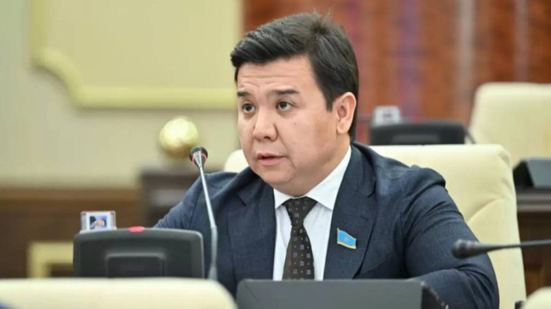 "Ол - менің ұлым, мен оны жасырған емеспін" - депутат желідегі айыптар туралы