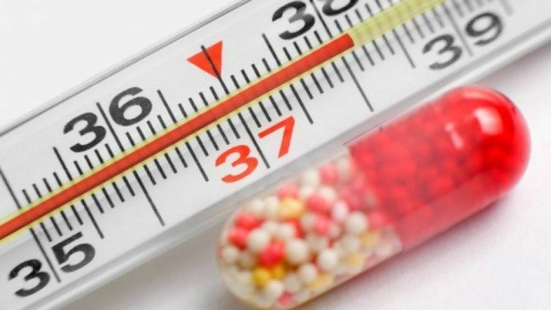 Дене қызуы 40°С-қа дейін көтеріледі: Қазақстанда белгісіз вирус тарап жатыр