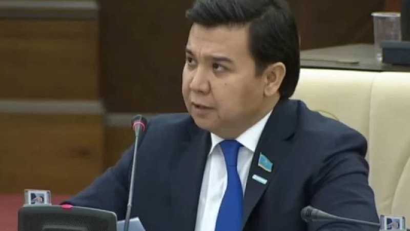 Мәжіліс депутаты некесіз ұлы бар екенін растады