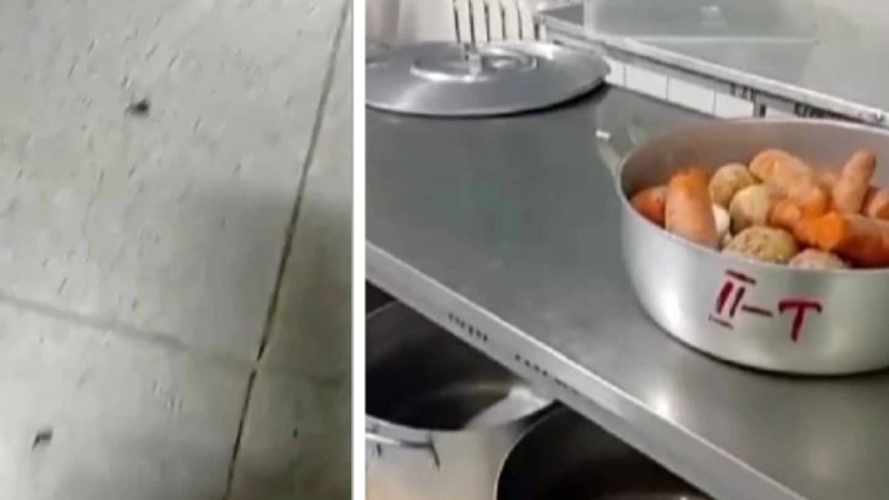 “Ботқадан жәндіктер шыққан”: Балабақшада өріп жүрген жәндіктер жаға ұстатты