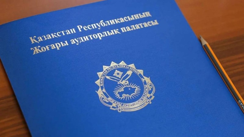 Аудиторлық тексеріс: ауыл шаруашылығы саласының 28 қызметкері жазаланды