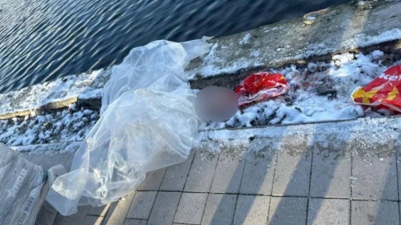 Тоғаннан сөмкеге салынған баланың басы табылды