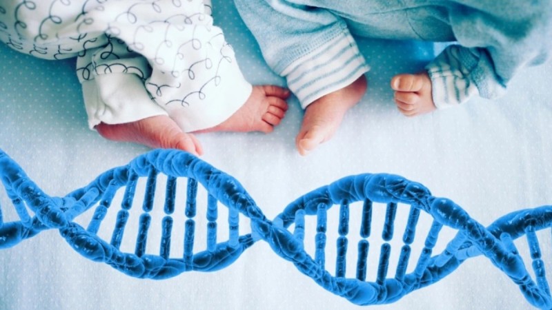 Жеті атадан аспай отбасы болған алматылық жұптың қайғысын дәрігер баяндап берді (ВИДЕО)