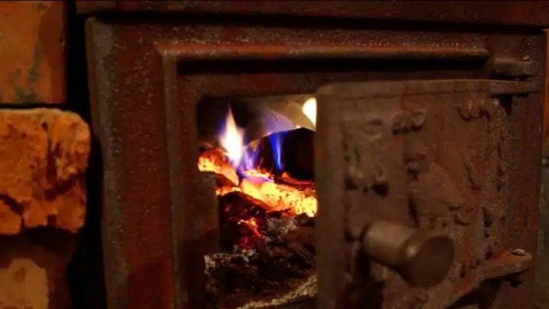 Cарыағашта бір отбасының 7 адамы уланып  қалды