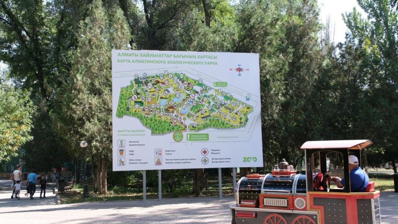 Алматыдағы зообақты кең көлемде жаңғырту жоспарланып отыр