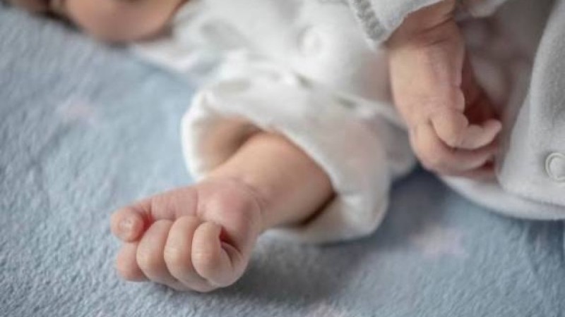 «Босандыру үшін 20 мың теңге сұраған»: Жамбыл облысында нәресте шетінеп кетті