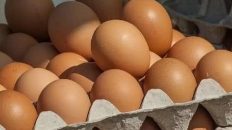 Қазақстан жұмыртқа импортын бір айға тоқтатты
