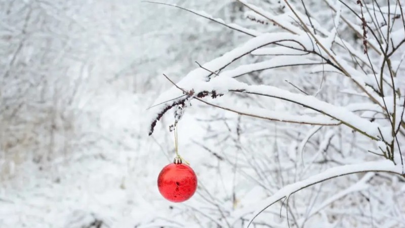 Қазақстанда Жаңа жылда күн 15 градусқа дейін жылынады