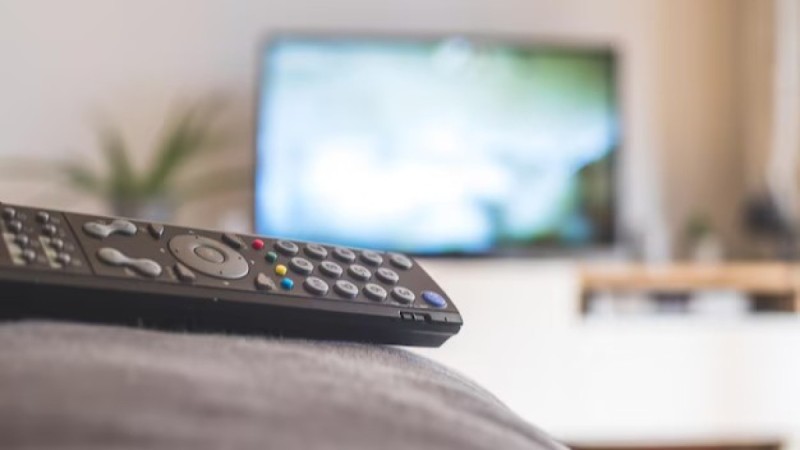 Күйеуі теледидардың пульті үшін әйелін өлтіріп, 13 жастағы қызын ұрып тастаған