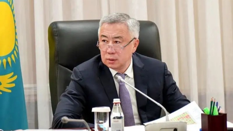 Экономика министрінің әйелі бір жылда 88 миллион қаржы тапқан