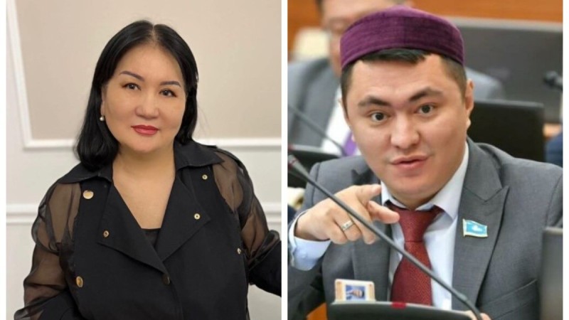 «Депутат емес, әйелдердің декрет блогері»: Риза Молдашева Мәжіліс депутатын қатаң сынға алды