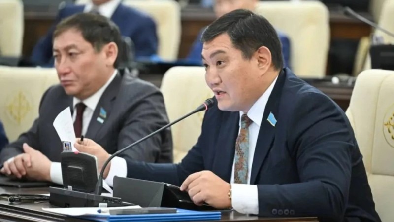 МӘМС жүйесіне қатысы жоқ лауазымды адамдар қаржы жымқырған - депутат