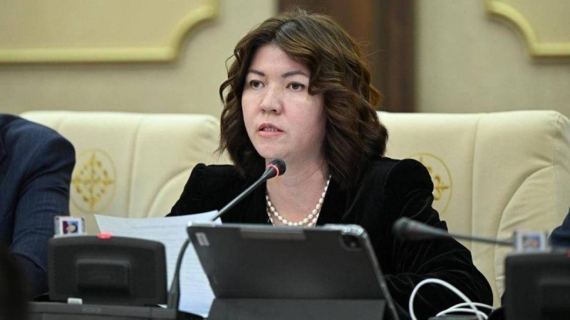 Заң талаптарын сақтамаған жекеменшік мектептер жабылады – Жұлдыз Сүлейменова