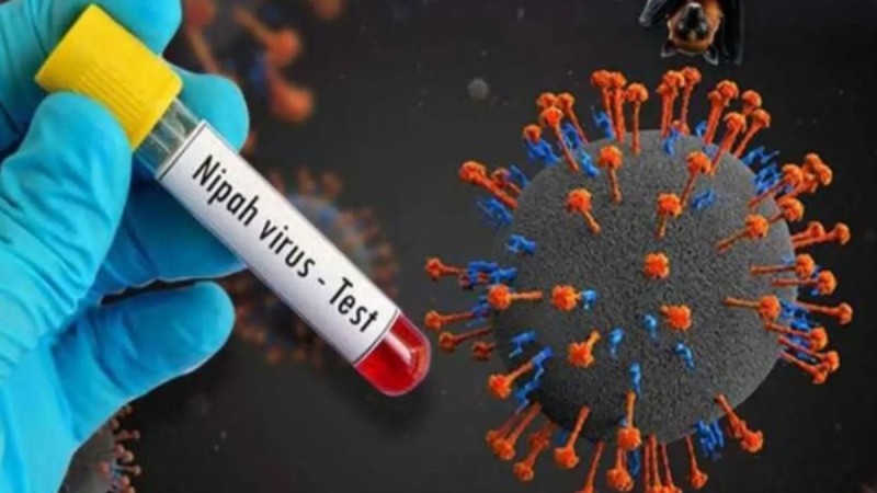 "Ми ісініп, жүйке жүйесі зақымданады": Қытайлық дәрігерлер Нипах вирусын жұқтарудың қауіпті салдарын ескертті