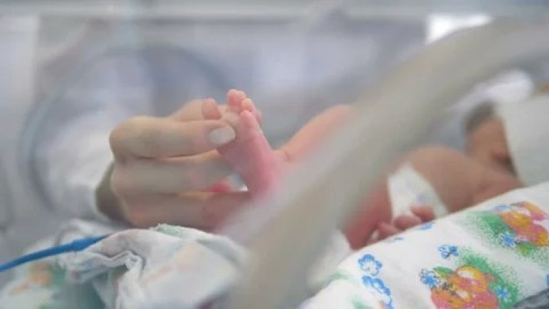 10 жыл күткен қуаныш: Самарқандта бір отбасы бірден төртемнің ата-анасы атанды