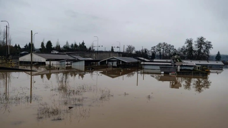 43 мың адам тұратын ауылға қауіп төнді: тұрғындар үйлерін тастап кетіп жатыр