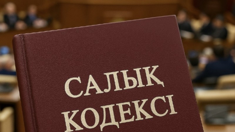 Үкіметте Салық кодексіне енгізілетін бірқатар өзгерістер талқыланды