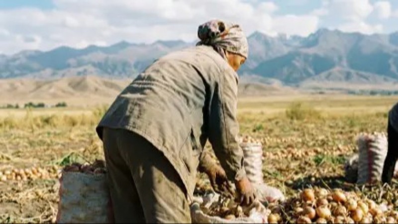 "Жерлеп қойған әйел бір айдан кейін тірі келді": Жамбыл облысындағы таңғаларлық оқиға