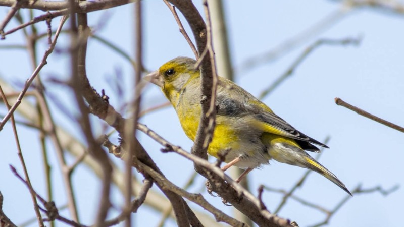 Қазақстанда күн 20 градусқа дейін жылынады