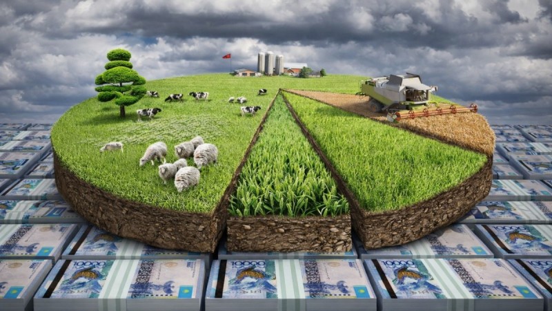 Ауызды қу шөппен сүрткен агросектор: 500 млрд теңге субсидияның қызығын кім көрді?