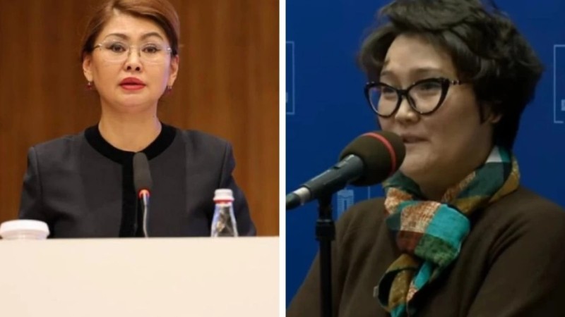 Министр Балаева журналист Ботагөз Омарованың ұсталуы туралы пікір білдірді