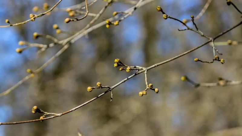 Қазақстанда алдағы үш күнде ауа температурасы 30 градусқа дейін көтеріледі