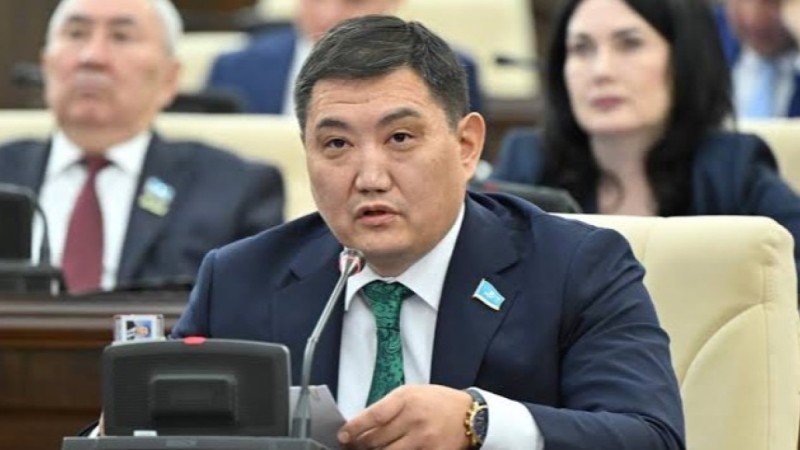 “Байдың балаларын қорғаштайды”: Депутат ішкі істер оргаодарына “тазарту” жүргізуді ұсынды