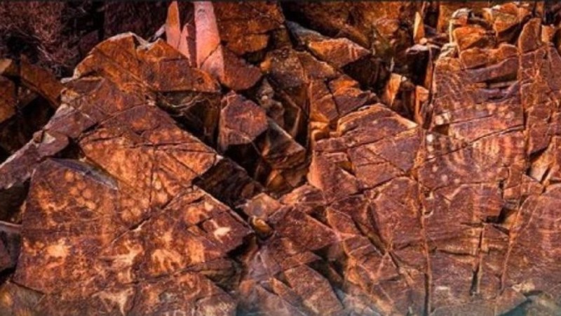 Алматыда Таңбалы мұрасын жаңа қырынан танытатын халықаралық көрме ашылады