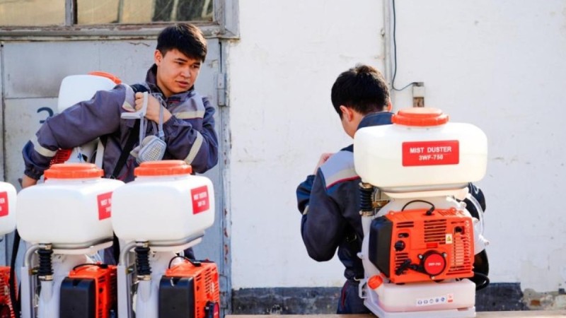 Астанада маса мен шіркейге қарсы күрес жұмысы қалай өтеді