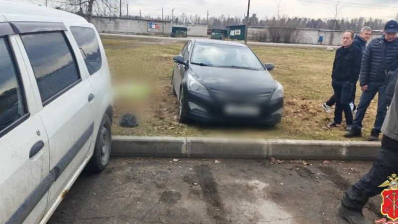 Ер адам көліктегі газ бен тежегішті шатастырып, әйелін қағып кетті